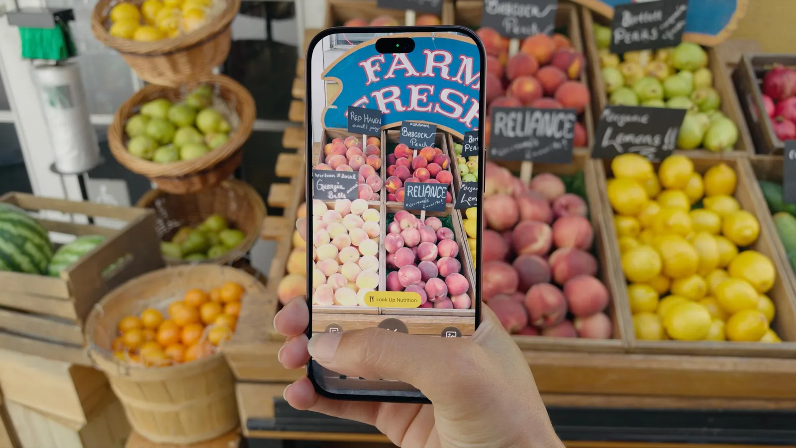 Pro-настройки камеры iPhone 18 Pro: выдержка, баланс белого и гистограмма
