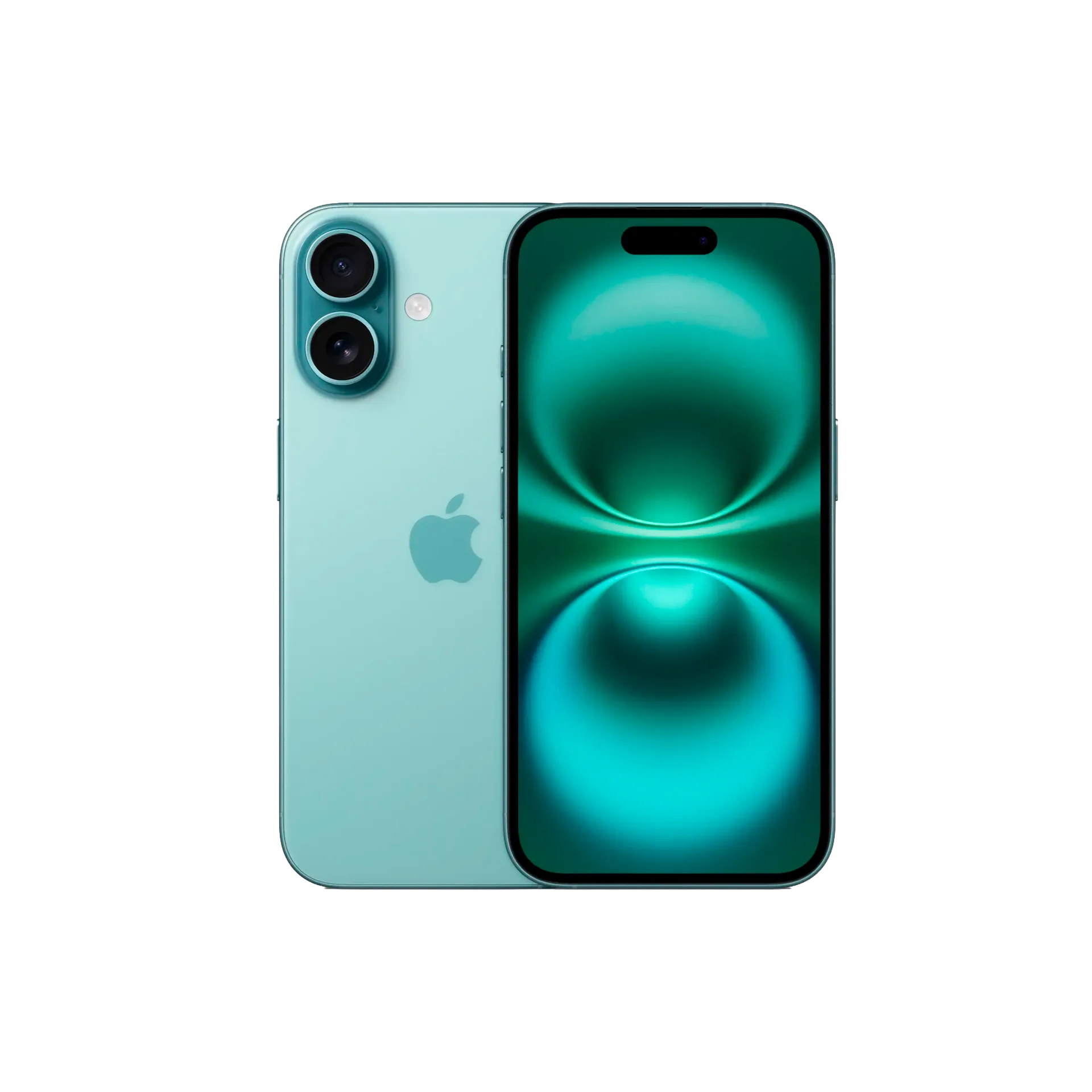 iPhone 16 Plus: большой экран без цены Pro Max