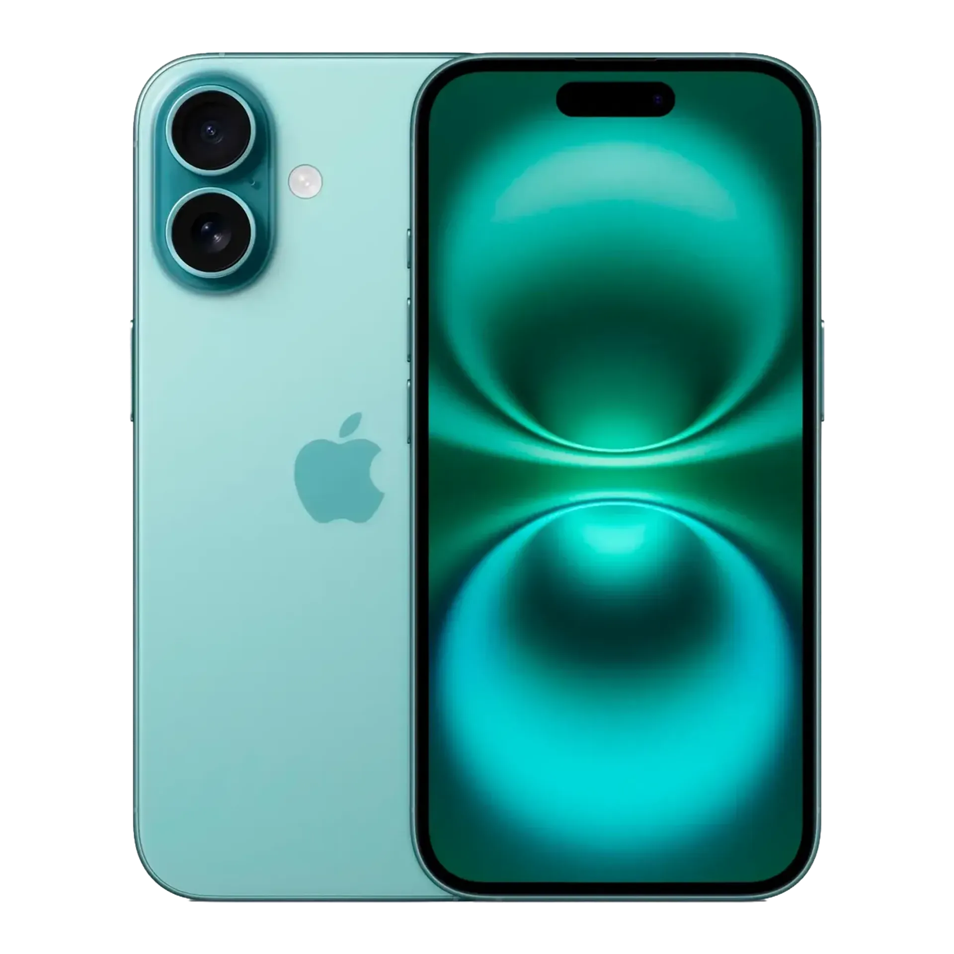 iPhone 16 Plus: большой экран без цены Pro Max